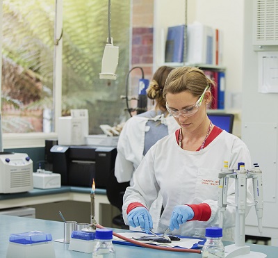 A woman working in a laboratory. She is examining fish.  Another woman scientist is also working in the laboratory but not facing the camera.
