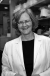 Elizabeth Helen Blackburn